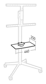 Erard KANA Shelf